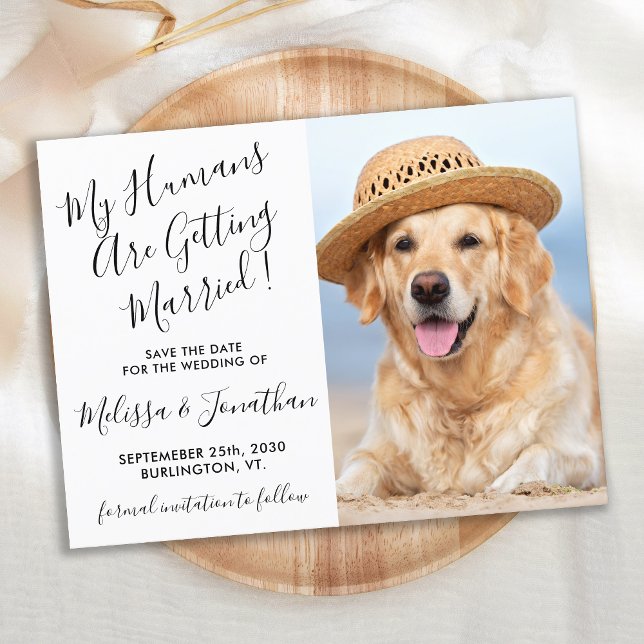 Modern Photo Personalise Dog Wedding Save The Date Announcement Postcard (Creator Uploaded)