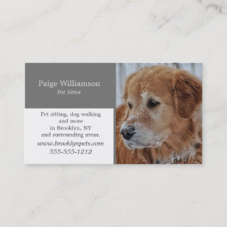 Modern Photo Pet Business Card