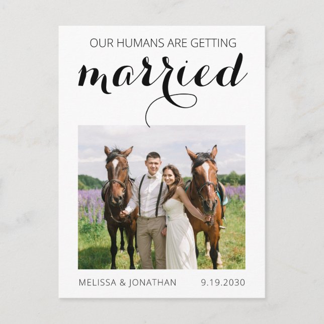 Modern Photo Pet Horse Wedding Save The Date Announcement Postcard (Front)