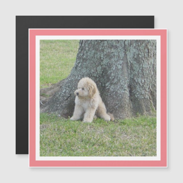 Modern Photo Template Cute Square Coral Magnet (Front/Back)