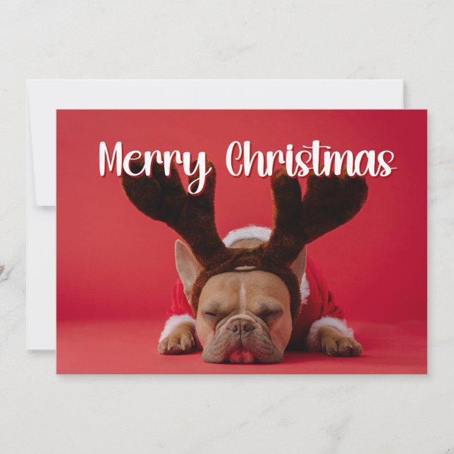 Modern photo with backside greetings Holiday card (Front)