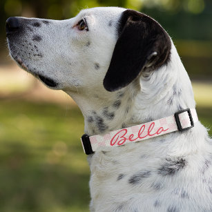 Modern Pink Chequered Dog Puppy Doggy Name Custom Pet Collar