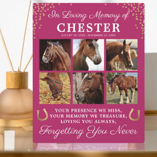 Modern Pink Horse Sympathy Plaque