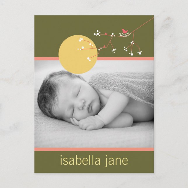 Modern Pink Nesting Bird Family Simple Photo Birth Announcement Postcard (Front)