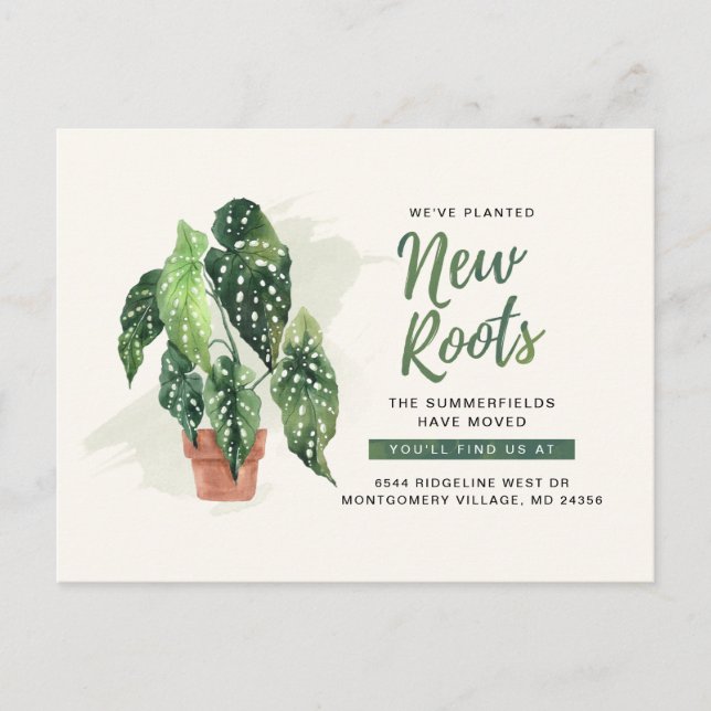 Modern Planted New Roots Moving New Address Announcement Postcard (Front)