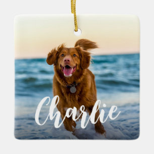 Modern Playful Chic Dog Photo Name Ceramic Ornament