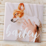 Modern Playful Simple Elegant Chic Pet Photo<br><div class="desc">This simple and classic design is composed of serif typography and add a custom photo of your pet.</div>
