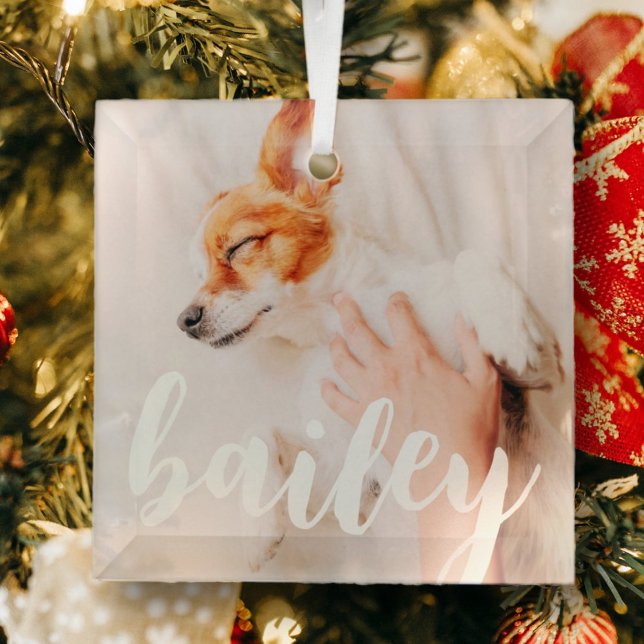 Modern Playful Simple Elegant Chic Pet Photo Glass Tree Decoration (Creator Uploaded)