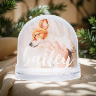 Modern Playful Simple Elegant Chic Pet Photo Snowglobe