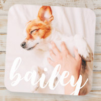 Modern Playful Simple Elegant Chic Pet Photo