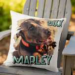 Modern Playful Simple Grunge Custom Pet Photo Cushion<br><div class="desc">This simple and classic design is composed of serif typography and add a custom photo of your pet.</div>