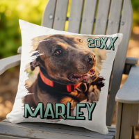Modern Playful Simple Grunge Custom Pet Photo