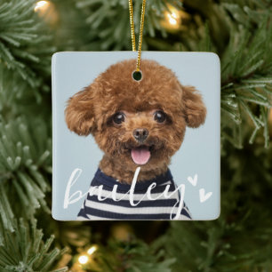 Modern Playful Simple Hearts Chic Pet Photo Ceramic Ornament