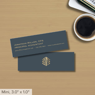 Modern Professional Mini Business Cards