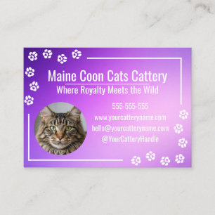 Modern Purple Gradient Maine Coon Cattery Business Card