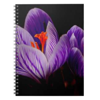 Modern Purple Tulip Flower Spiral Notebook