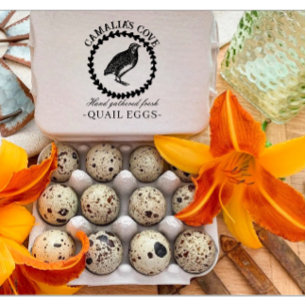 Modern Quail Eggs Custom Farm Owner Name Black Rubber Stamp