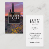 Modern Real Estate Saguaro Sunset Desert Photo