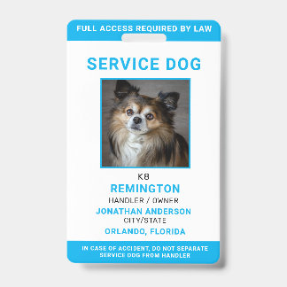 Modern Red Blue Simple Service Dog Photo ID Badge 