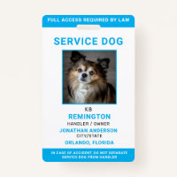 Modern Red Blue Simple Service Dog Photo ID Badge