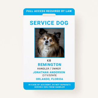 Modern Red Blue Simple Service Dog Photo ID Badge 
