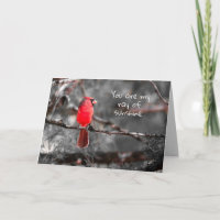 Modern Red Cardinal in Tree with Quote