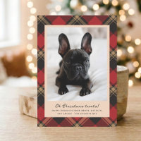 Modern Red Plaid Pet Photo Christmas Treats