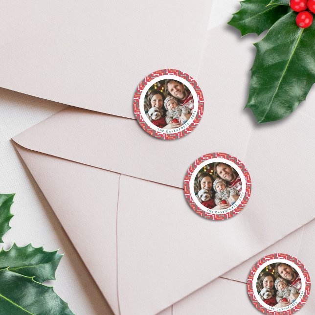 Modern Red & Teal Bone Pattern Dog Family Photo Classic Round Sticker (Modern Red & Teal Bone Pattern Dog Family Photo Classic Round Sticker - on envelopes)