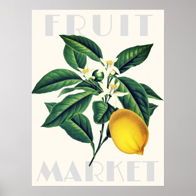 Modern Retro Fruit Market Lemon Blossom Poster (Front)