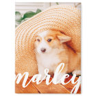 Modern Rustic Simple Custom Pet Photo