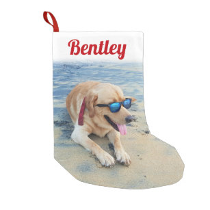 Modern Script Pet Name & Photo Cute Festive Red Small Christmas Stocking