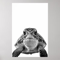 Modern Sea Turtle Portrait black white