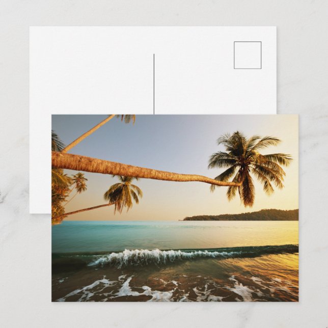Modern Sea View Flat Postcard (Front/Back)