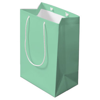Modern Seafoam Green Plain Solid Colour Medium Gift Bag