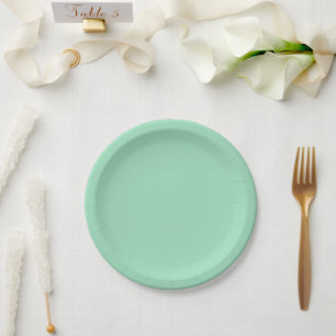 Modern Seafoam Green Plain Solid Colour Paper Plate