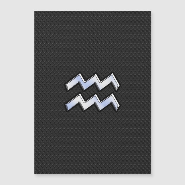 Modern Silver Aquarius Zodiac Sign on Snake (Front)