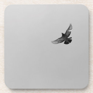 Modern simple black white flying bird pigeon photo coaster