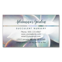 Modern Simple Botanical Succulent Nursery Photo