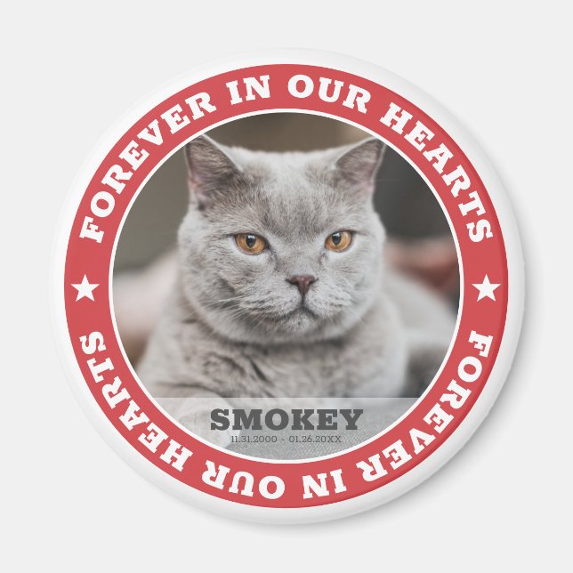 Modern Simple Custom Pet Photo Sympathy Keepsake Magnet (Front)