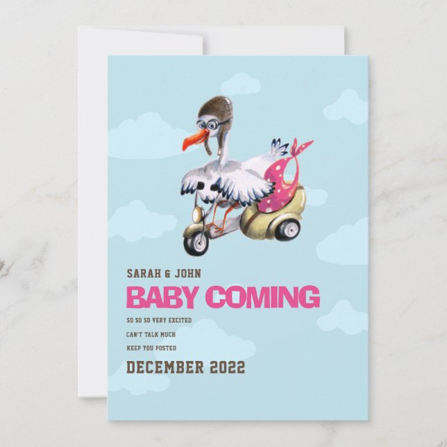 Modern Simple Cute Funny Stork Baby Girl Pregnancy Announcement (Front)