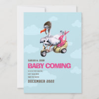 Modern Simple Cute Funny Stork Baby Girl Pregnancy