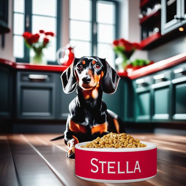 Modern Simple Minimalist Red White Pet Cat Dog Bowl (A red and white ceramic bowl for food or water, personalized with your dog's name)