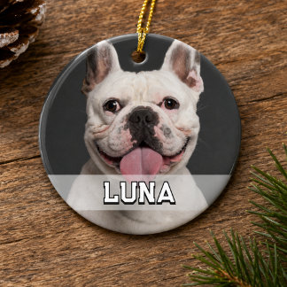 Modern Simple Pet Photo Ceramic Tree Decoration