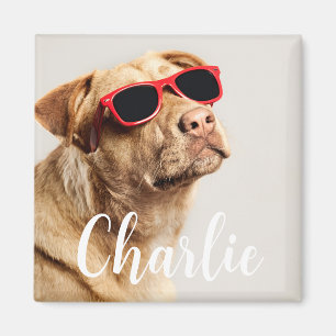 Modern Simple Playful Elegant Chic Pet Photo Magnet