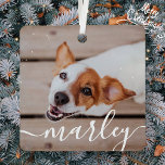 Modern Simple Playful Elegant Chic Pet Photo Metal Tree Decoration<br><div class="desc">This simple and classic design is composed of serif typography and add a custom photo of your pet.</div>