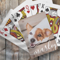 Modern Simple Playful Elegant Chic Pet Photo