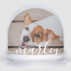 Modern Simple Playful Elegant Chic Pet Photo