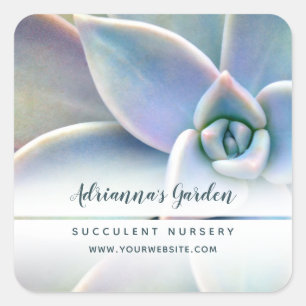 Modern Simple Succulent Nursery Photo Square Sticker