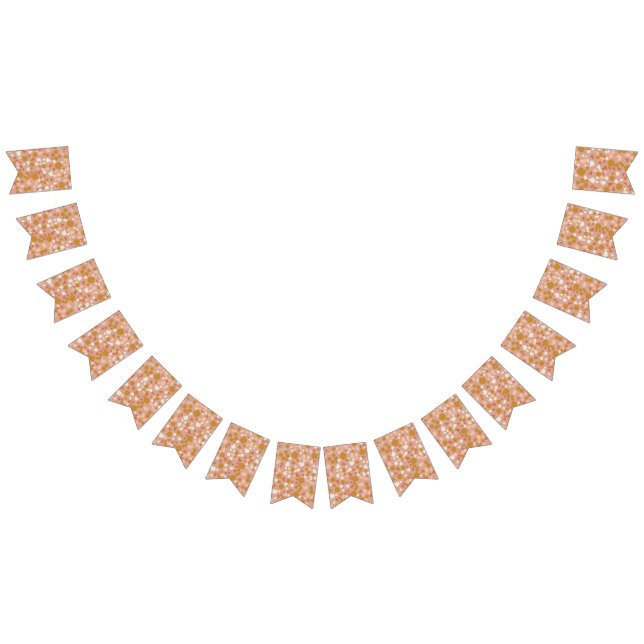 Modern Simple Terracotta Terrazzo bunting  (All)