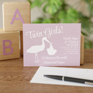 Modern Stork Twin Birth Announcement Postcard